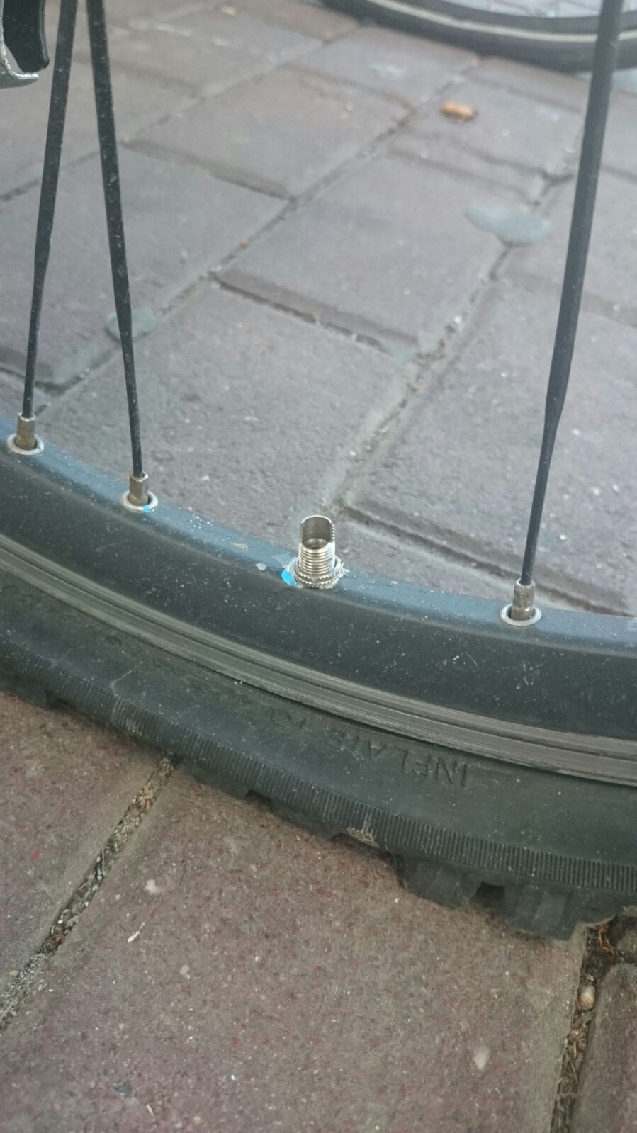 Mein Fahrrad wurde Plattgemacht, Ist die Fahrradmitnahme