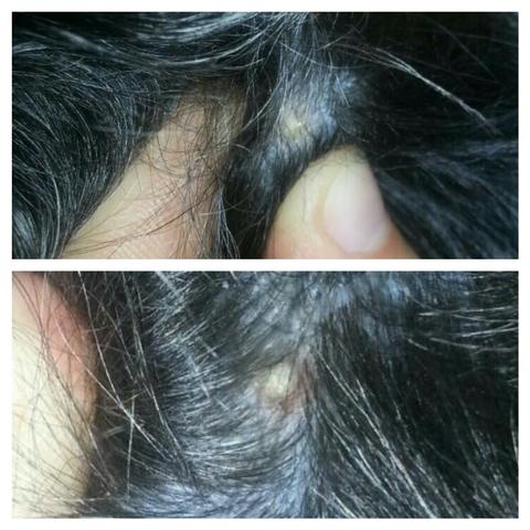 mein hund hat einen pickel oo haustiere