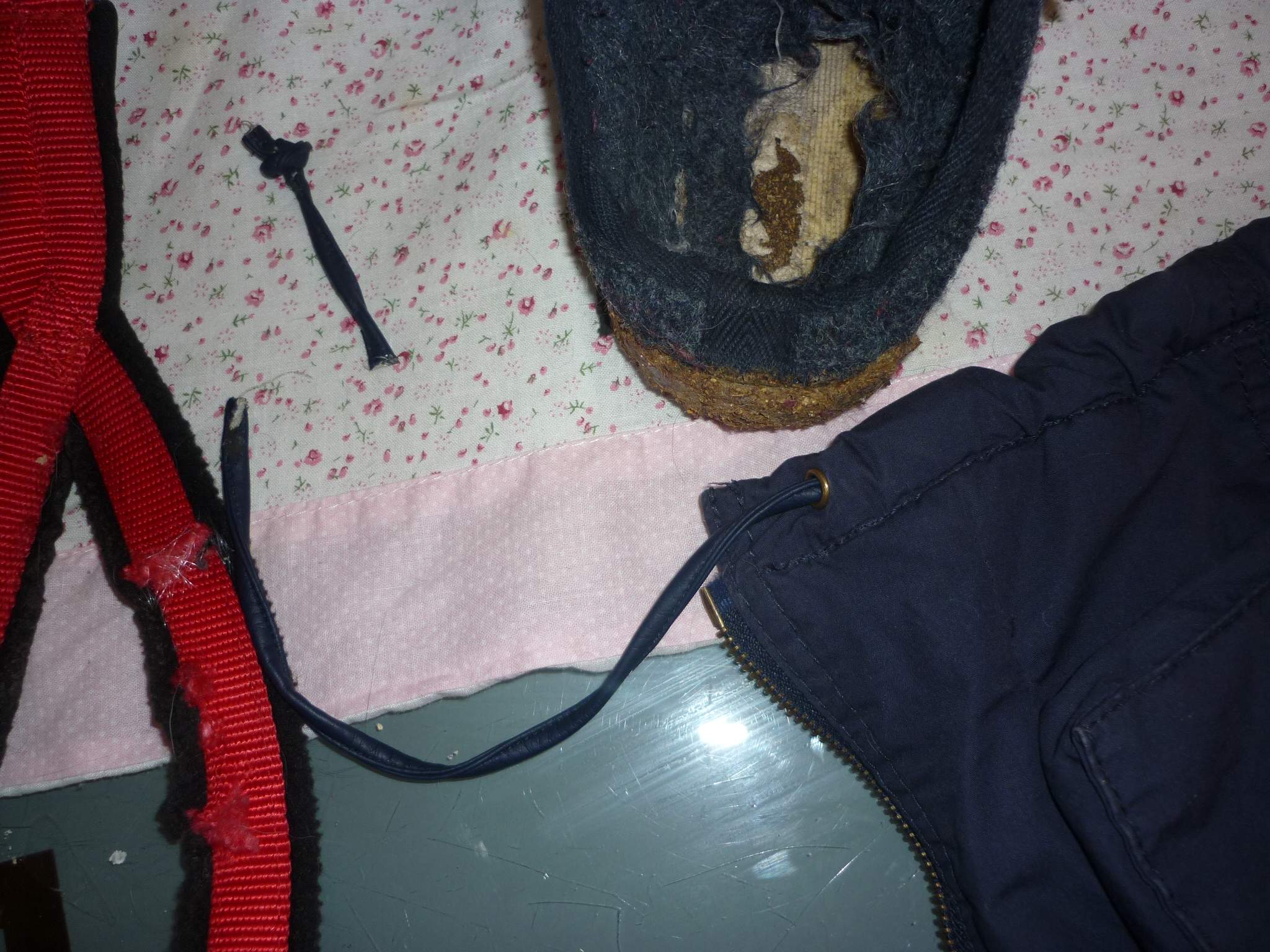 Mein Hund macht alles kaputt und hört einfach nicht auf!