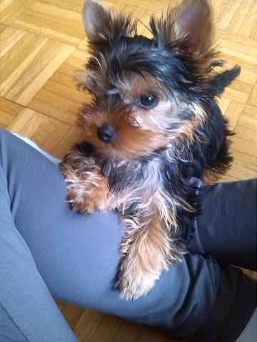 Mag ich ihn mehr als freundschaft Mag ich ihn mehr als freundschaft