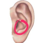 Mein Ohr Tut Bei Beruhrung Weh Warum Gesundheit Schmerzen Mein Ohr Tut Bei Beruhrung Weh Warum Gesundheit Schmerzen