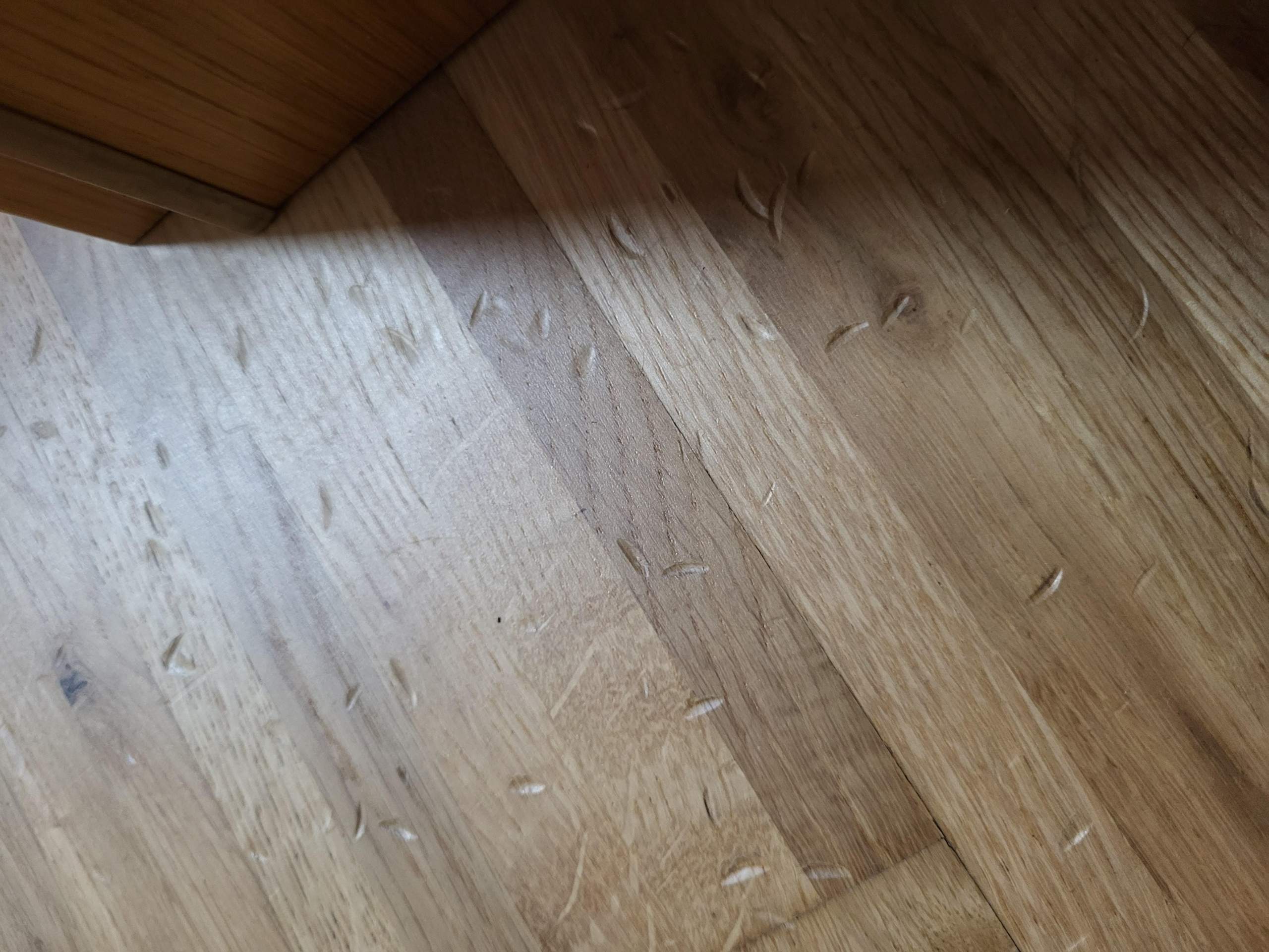 Mein Parkettboden hat komische Schäden durch was ist es verursacht ...