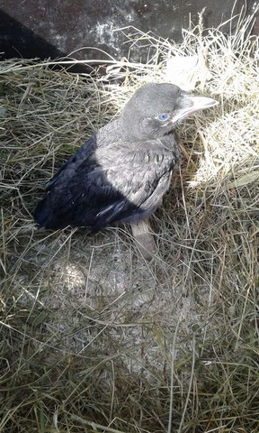 Wie frage ich ihn nach einer beziehung Wie frage ich ihn nach einer beziehung