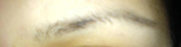 Meine Augenbrauen Wachsen Nach Unten Haare