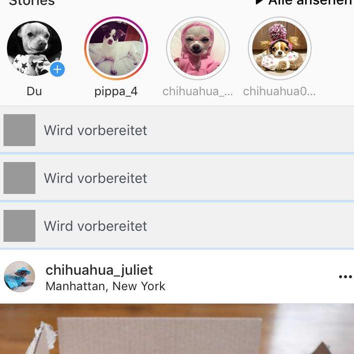 Meine Bilder auf Instagram werden nicht hochgeladen was tun? (Social Media)