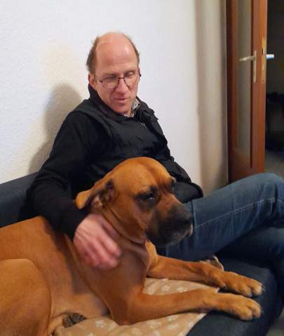 Bild zum Beitrag