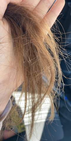 meine haare sind sehr kaputt was soll