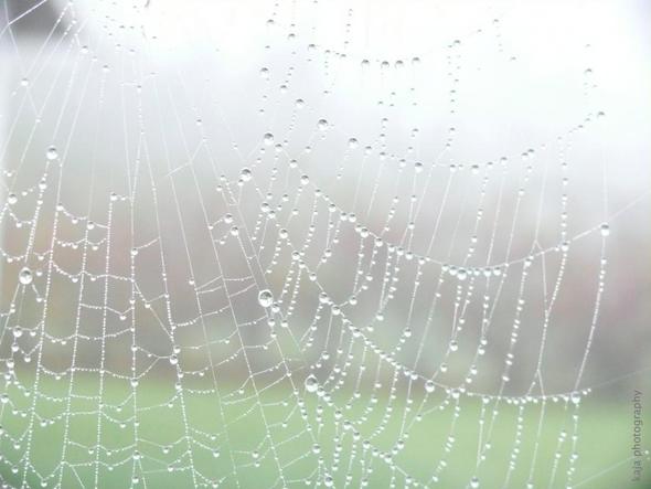 Meine Kamera Macht Plotzlich Unscharfe Bilder Foto Fotografieren