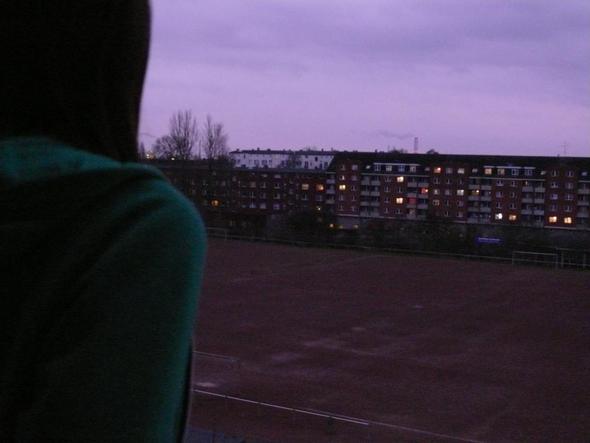 Meine Kamera Macht Plotzlich Unscharfe Bilder Foto Fotografieren