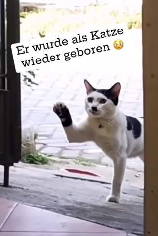Bild zum Beitrag