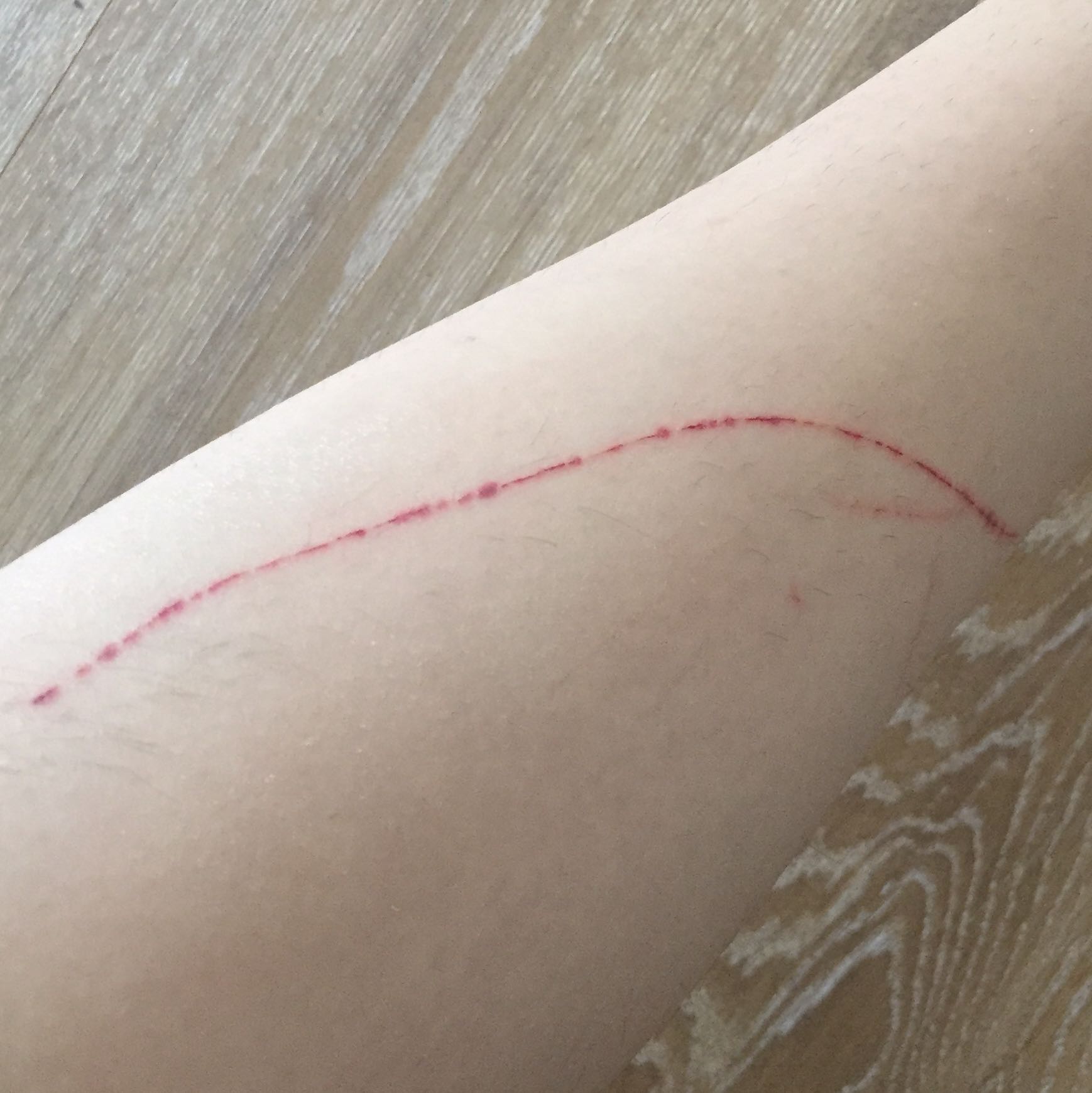 meine katze kratzt und beisst mich standig tiere haustiere katzen