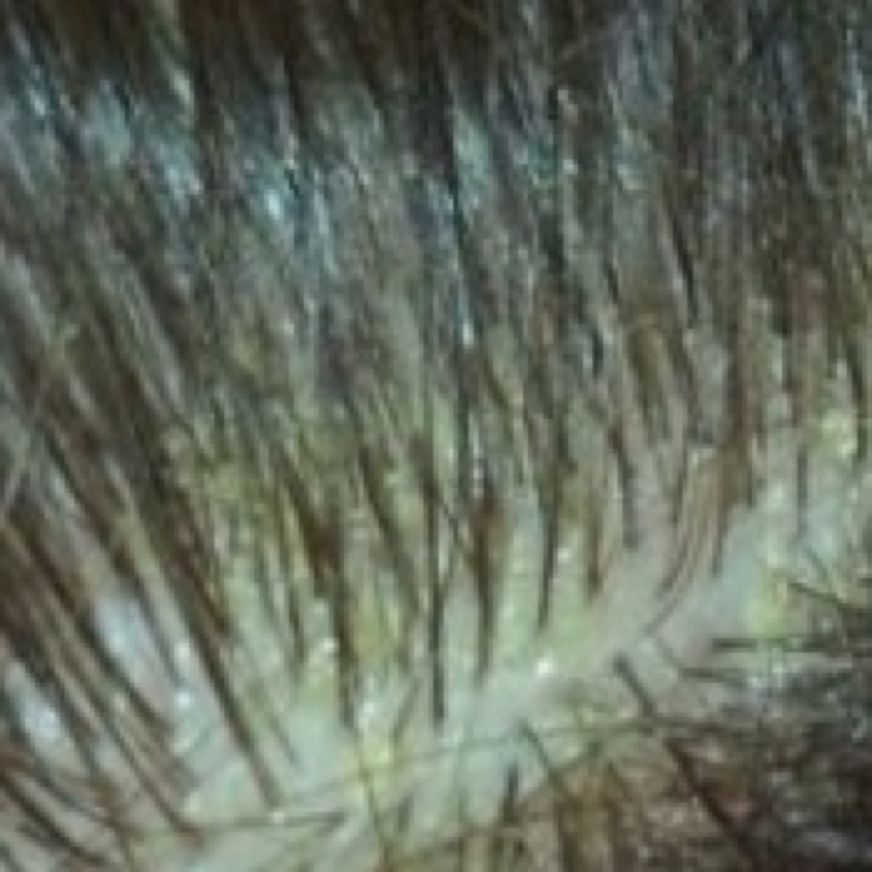 Mit 31 noch eine ausbildung Mit 31 noch eine ausbildung