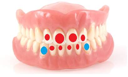 Zähne wachsen nach 3 Dritte Zähne,