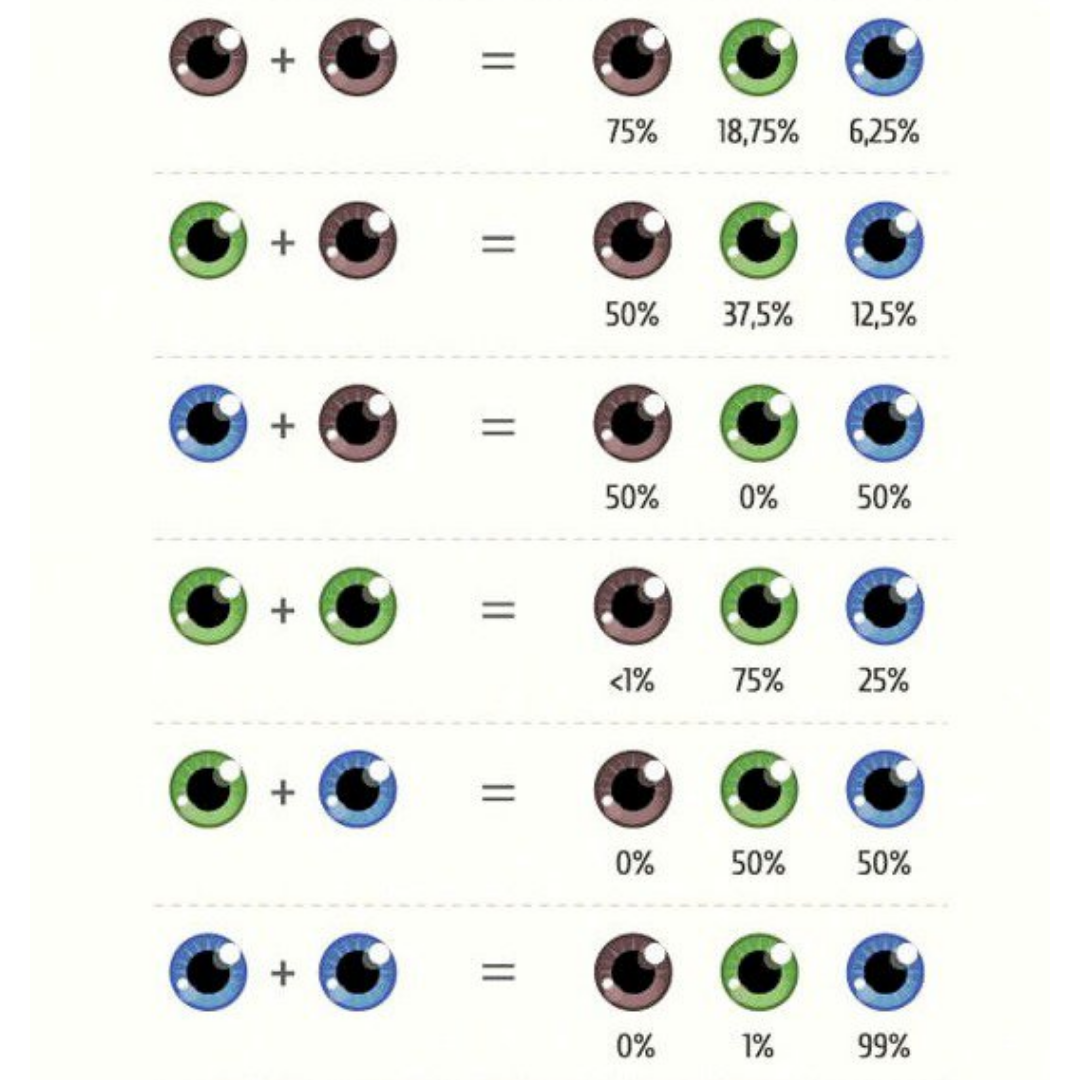 Meine Mutter Hat Braune Augen Und Mein Vater Blaue Aber Ich Habe Grune Augen Geht Das Augenfarbe Vererbung