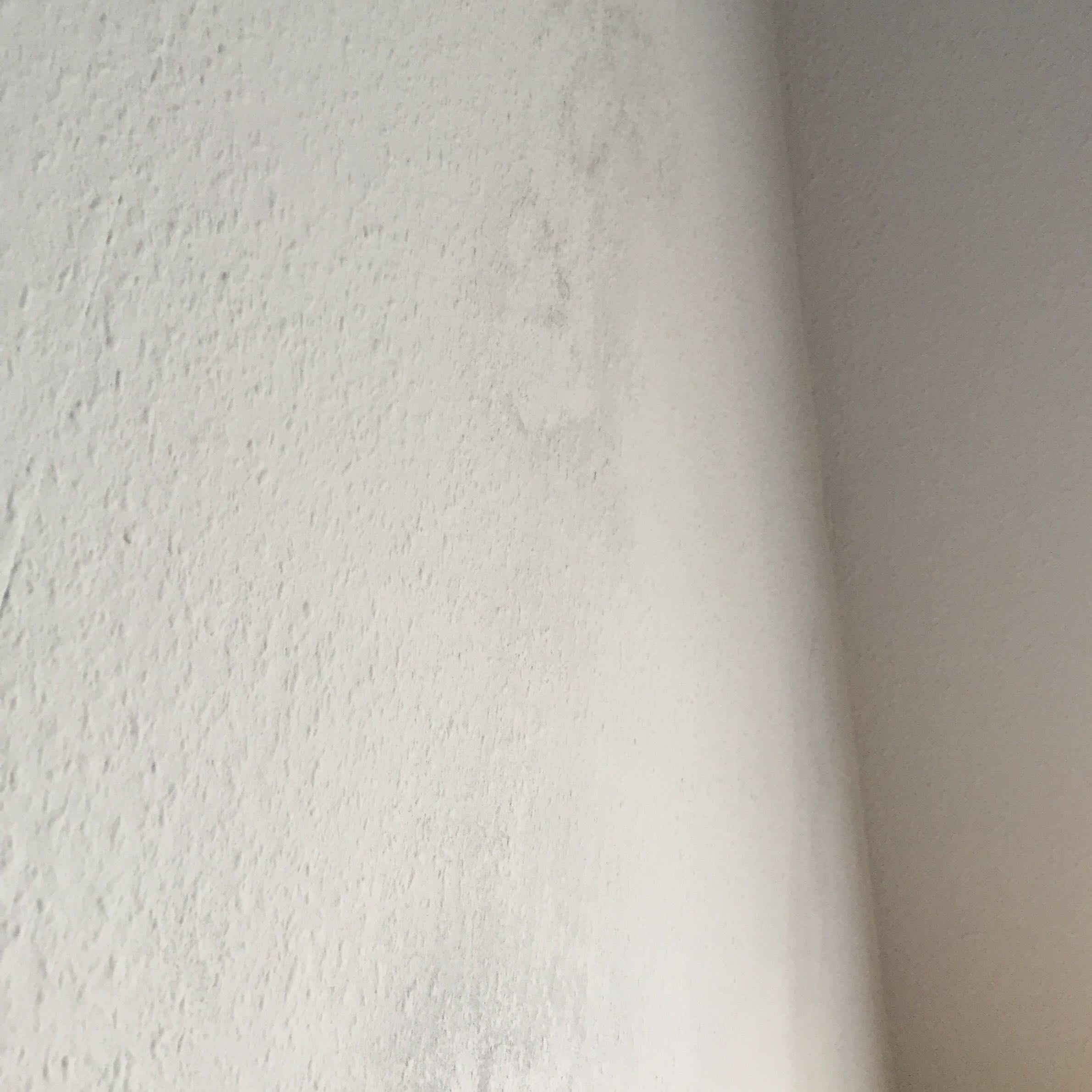 Meine Wand hat nach dem Streichen Flecken. Wie bekomm ich sie wieder