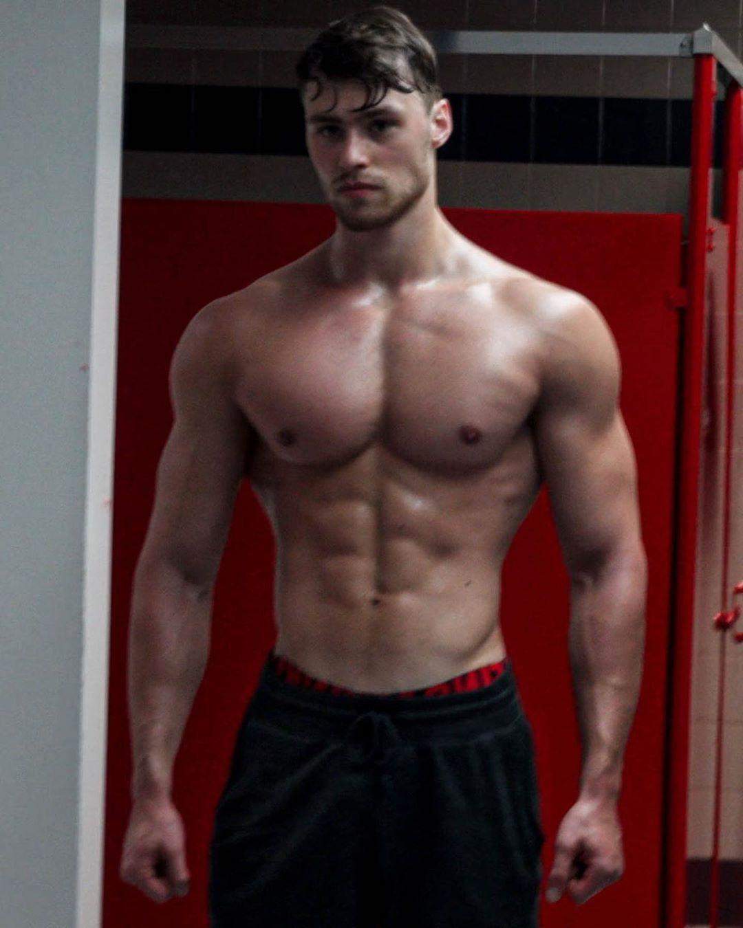Meint ihr David Laid ist Natty oder auf Steroiden? (Gesundheit, Sport, Fitness)