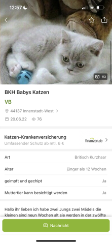 Meint Ihr Diese Anzeige Ist Fake Ich Geh Schon Davon Aus Katze meint-ihr-diese-anzeige-ist-fake-ich-geh-schon-davon-aus-katze