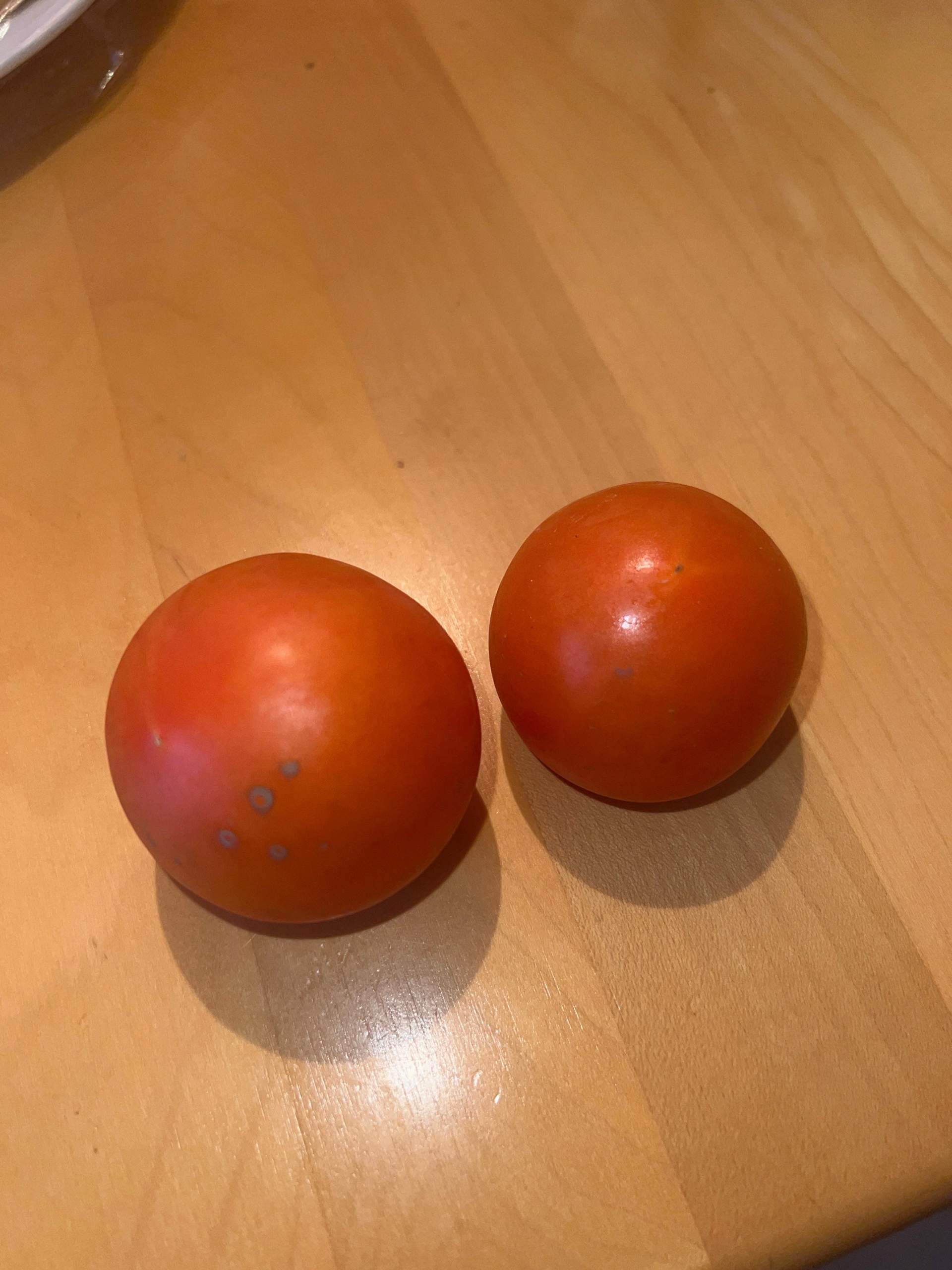 Meint ihr, man kann die Tomate noch essen? (Schimmel, Haltbarkeit, Tomaten)