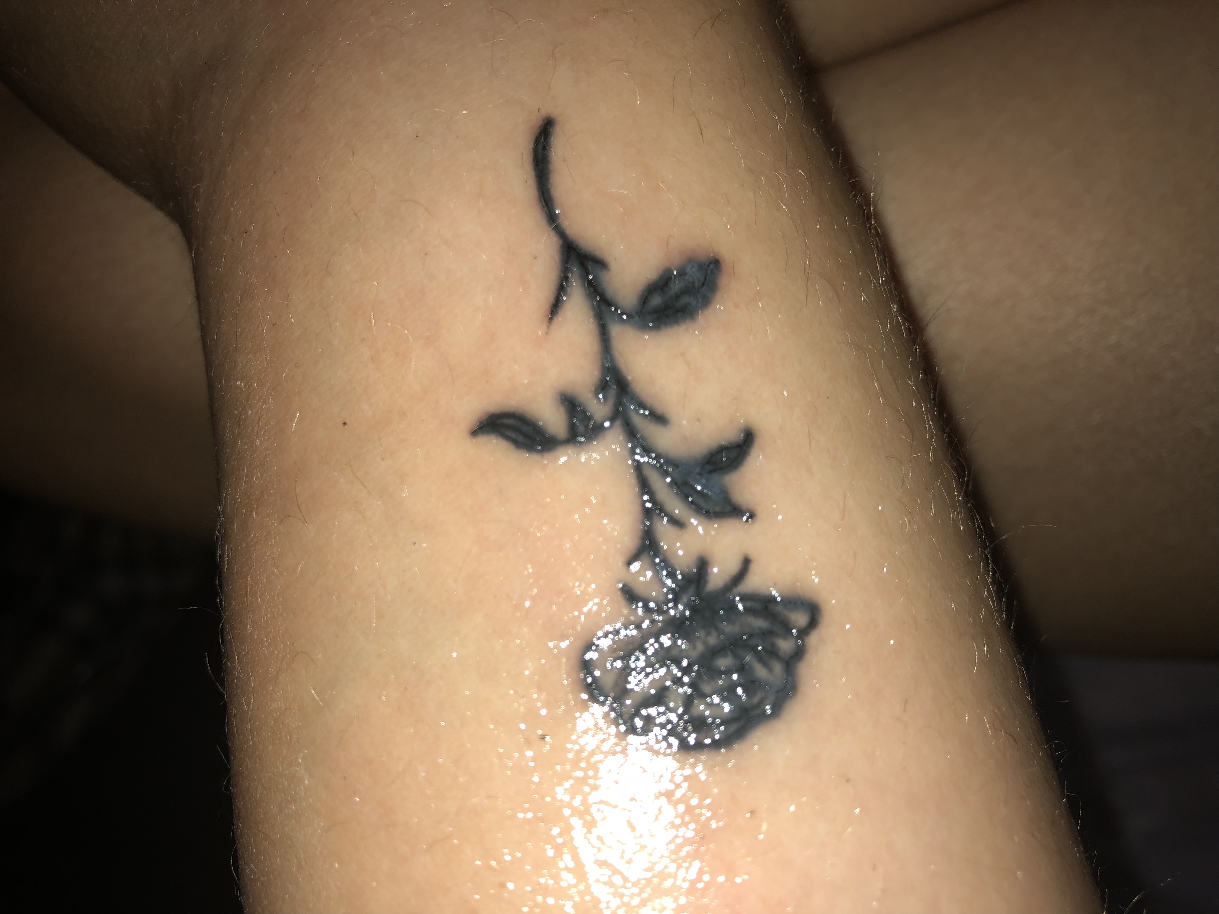 Meinung über Tattoo Heilungsprozess? (Tattoopflege) Meinung über Tattoo Heilungsprozess? (Tattoopflege)