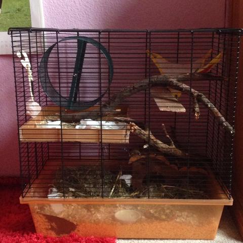 Käfig von vorne - (Tiere, Meinung, Hamster)