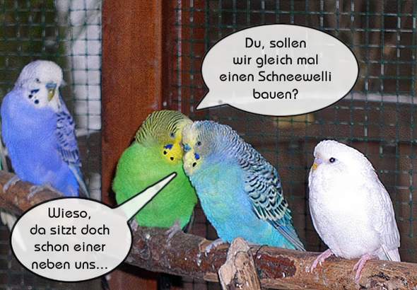 Bild zum Beitrag
