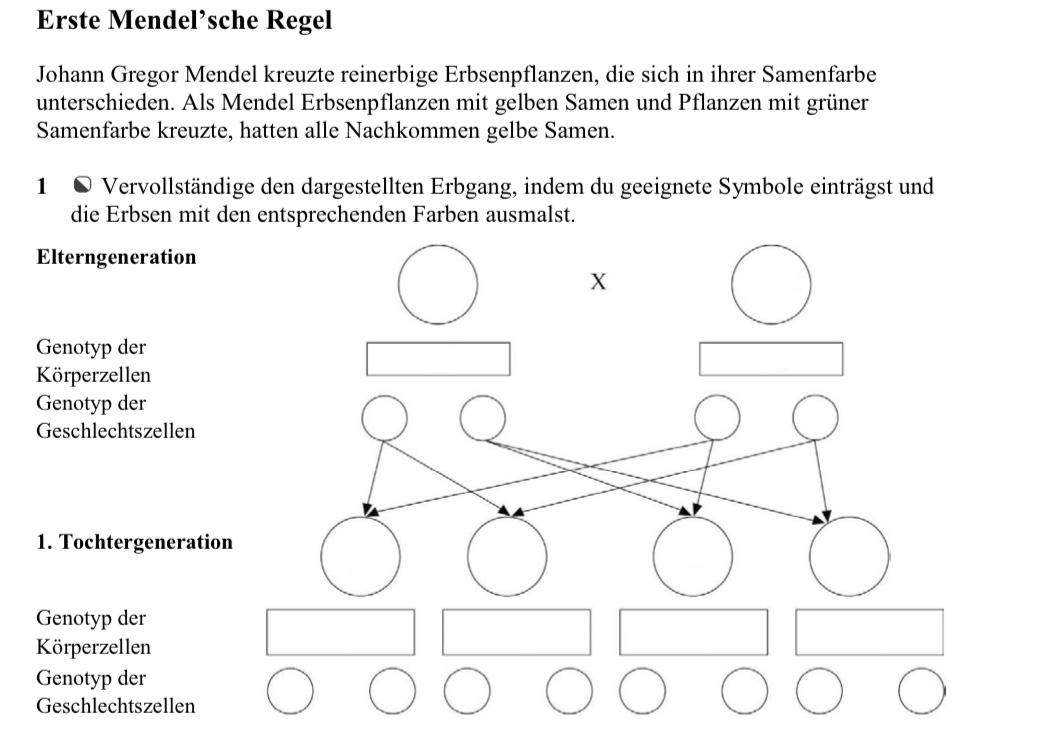 1 Mendelsche Regel Arbeitsblatt Losung | Maximieren Sie Ihre Effizienz