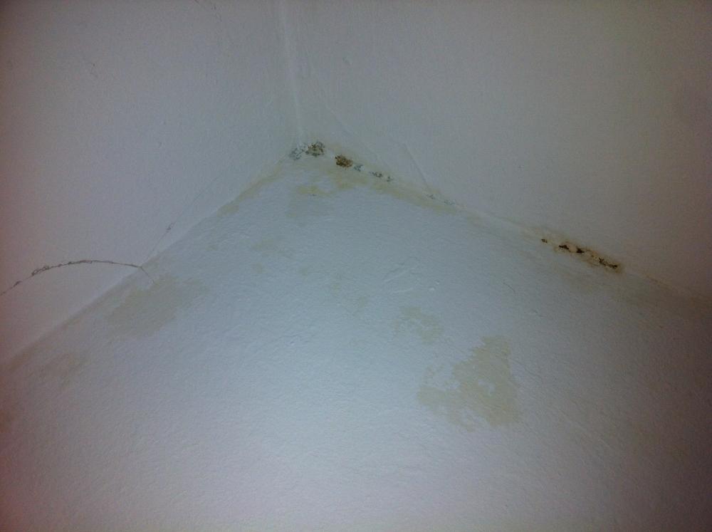Merkwürdige Flecken im Badezimmer... Schimmel, Wasser, Rost
