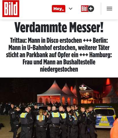 Bild zum Beitrag