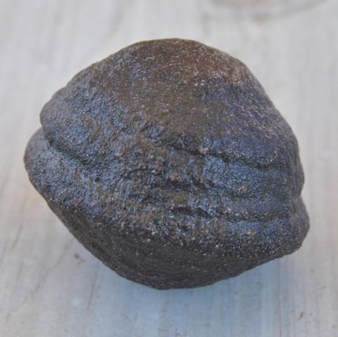 Meteorit 1 mit Rillenstruktur - (Freizeit, Geografie, Israel)