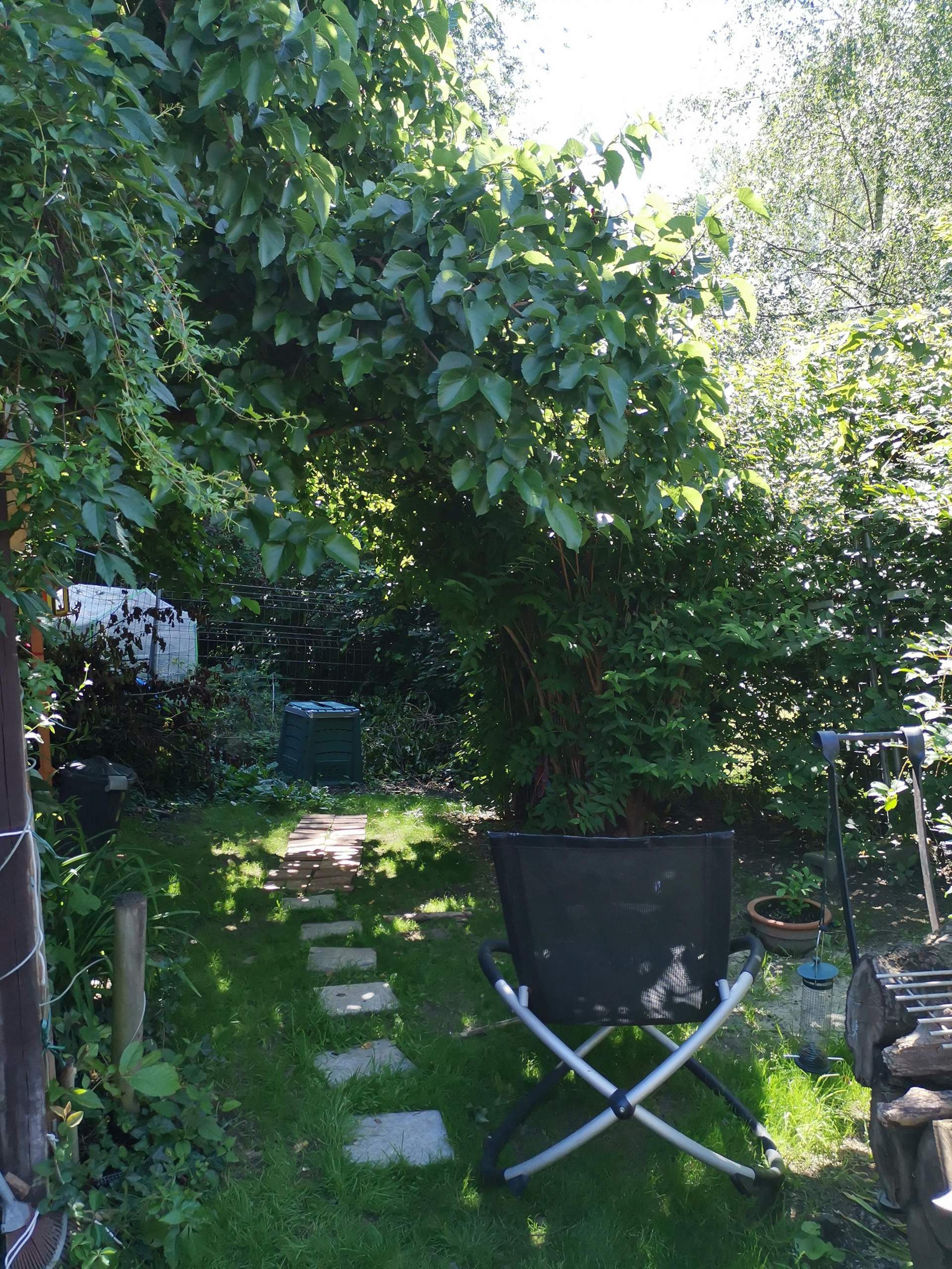 50+ Darf Der Mieter Den Garten Verändern, Was darf ein mieter im
