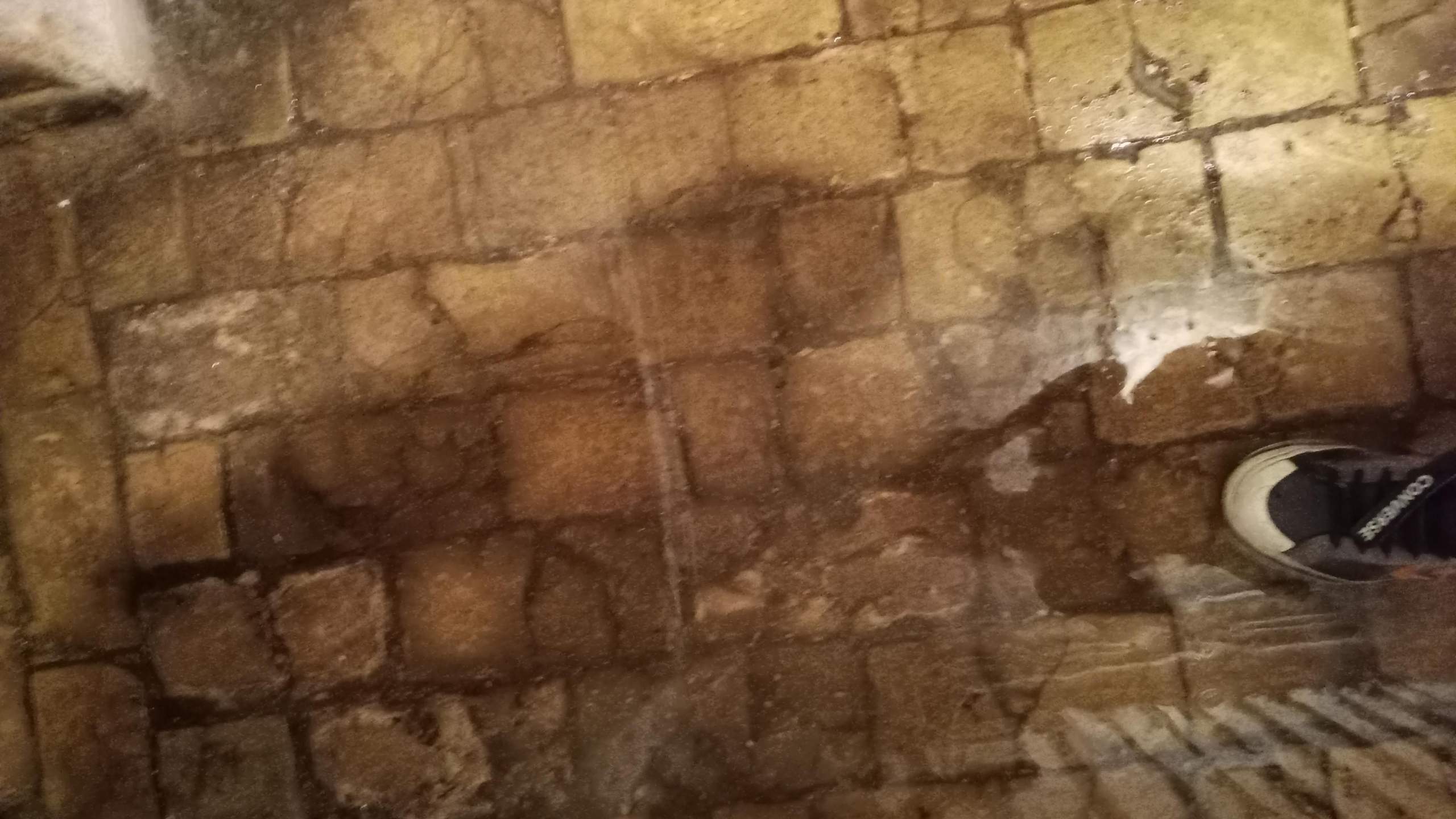 Dein grünes Paradies: Wie du mit Indoor Gardening glücklich wirst Dein grünes Paradies: Wie du mit Indoor Gardening glücklich wirst