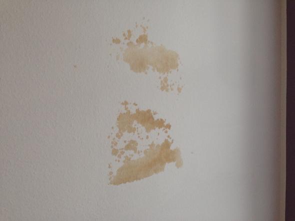 Mietwohnung Undichtes Dach Vermieter Lasst Sich Zeit Kann Ich Mietminderung Machen Versicherung Mietrecht Mieter