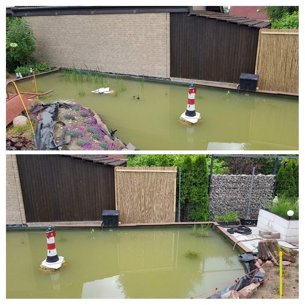 Milch Als Algenbekampfung Garten Teich Algen Milch Als Algenbekampfung Garten Teich Algen