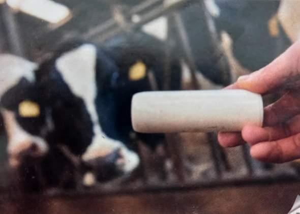 Milchbauern, Milchviehbetrieb: Was ist das auf dem Foto?