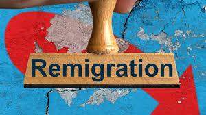 Millionenfache Remigration - JETZT? (Recht, Politik, Deutschland)