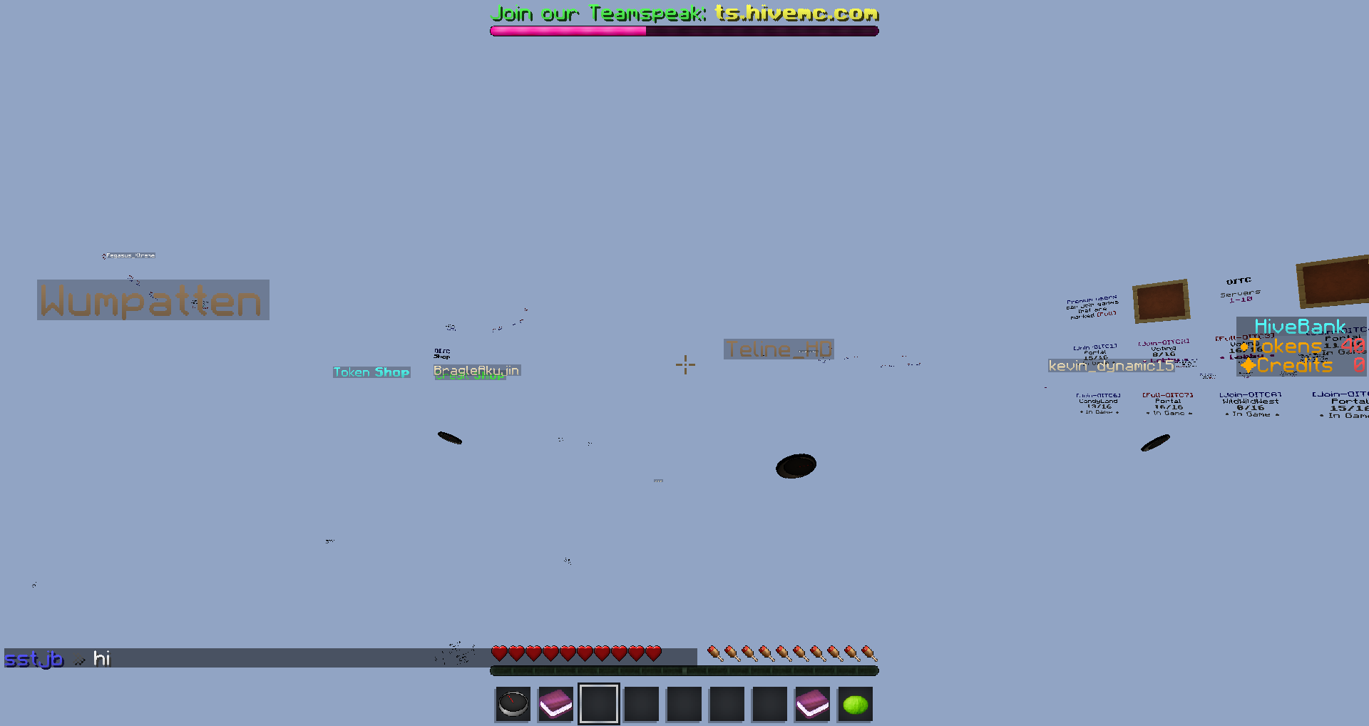 Minecraft Alle Blöcke Durchsichtig und alle Skins  Minecraft Alle Blöcke Durchsichtig und alle Skins