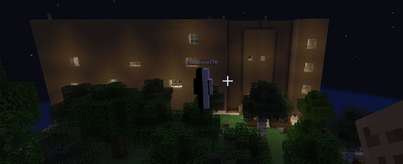 minecraft haus? (Minecraft Java Edition)