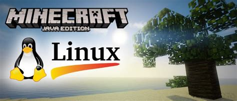 Linux Minecraft Desktop Minecraft Java auch Linux (k)Ubuntu 20.04 installieren? (PC, Minecraft ...