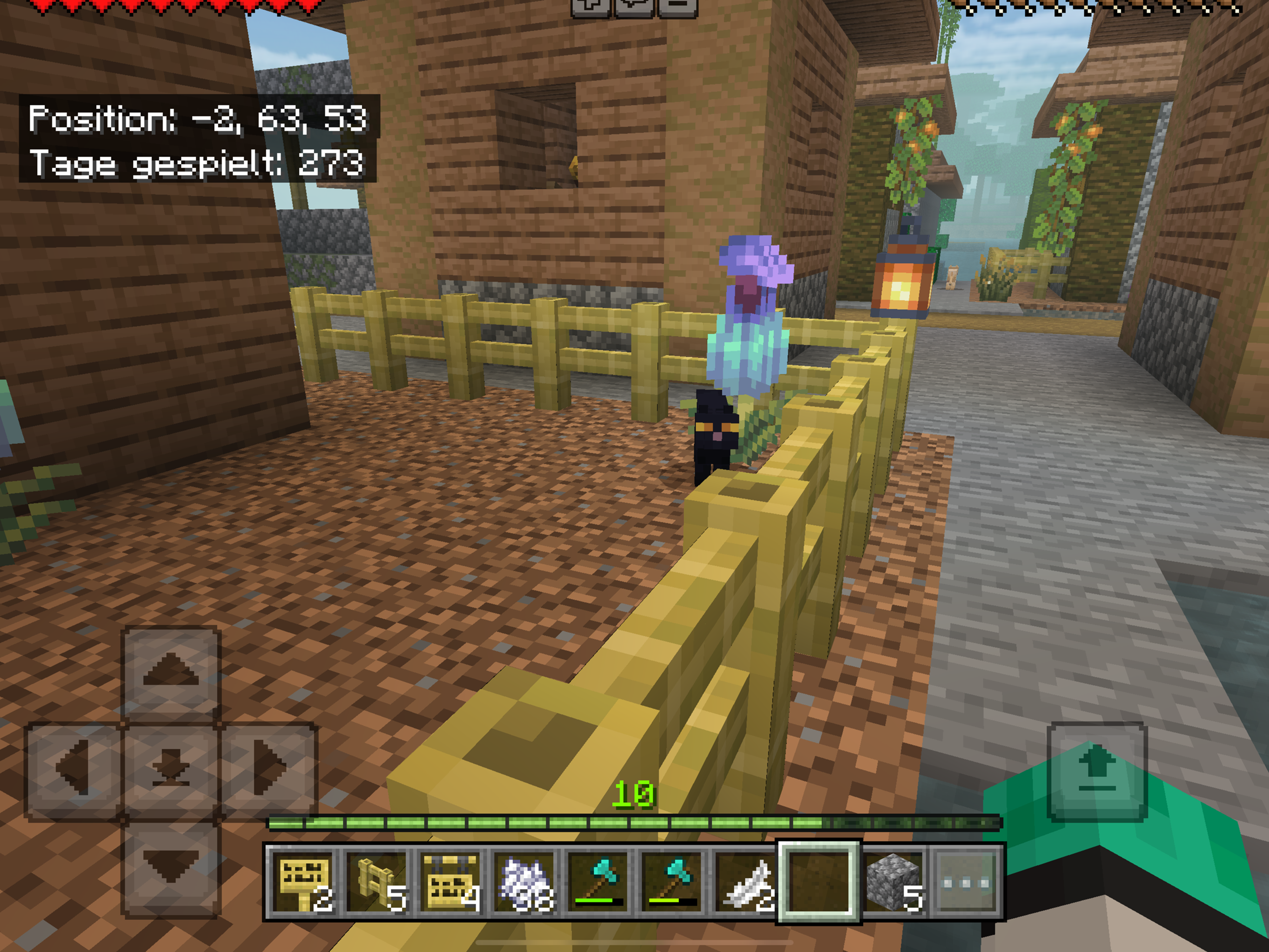 Minecraft Katze einer Hexe? (Computerspiele, Minecraft Bedrock Edition ...