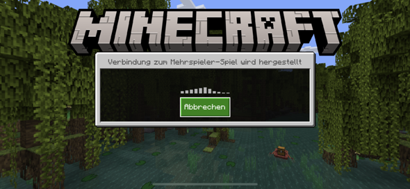 Minecraft Keine verbindung zur Welt? (Minecraft Server, Multiplayer)