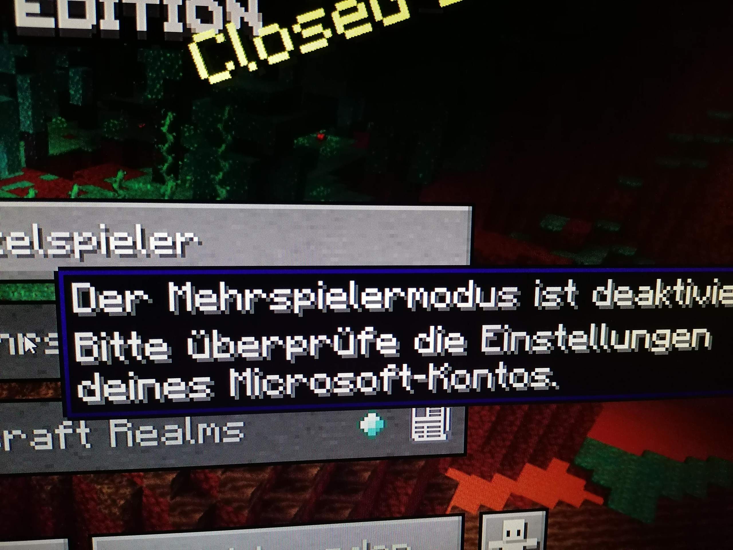 Minecraft multiplayer?