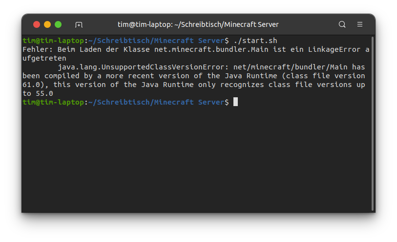 Minecraft Server funktioniert nicht? (Java)
