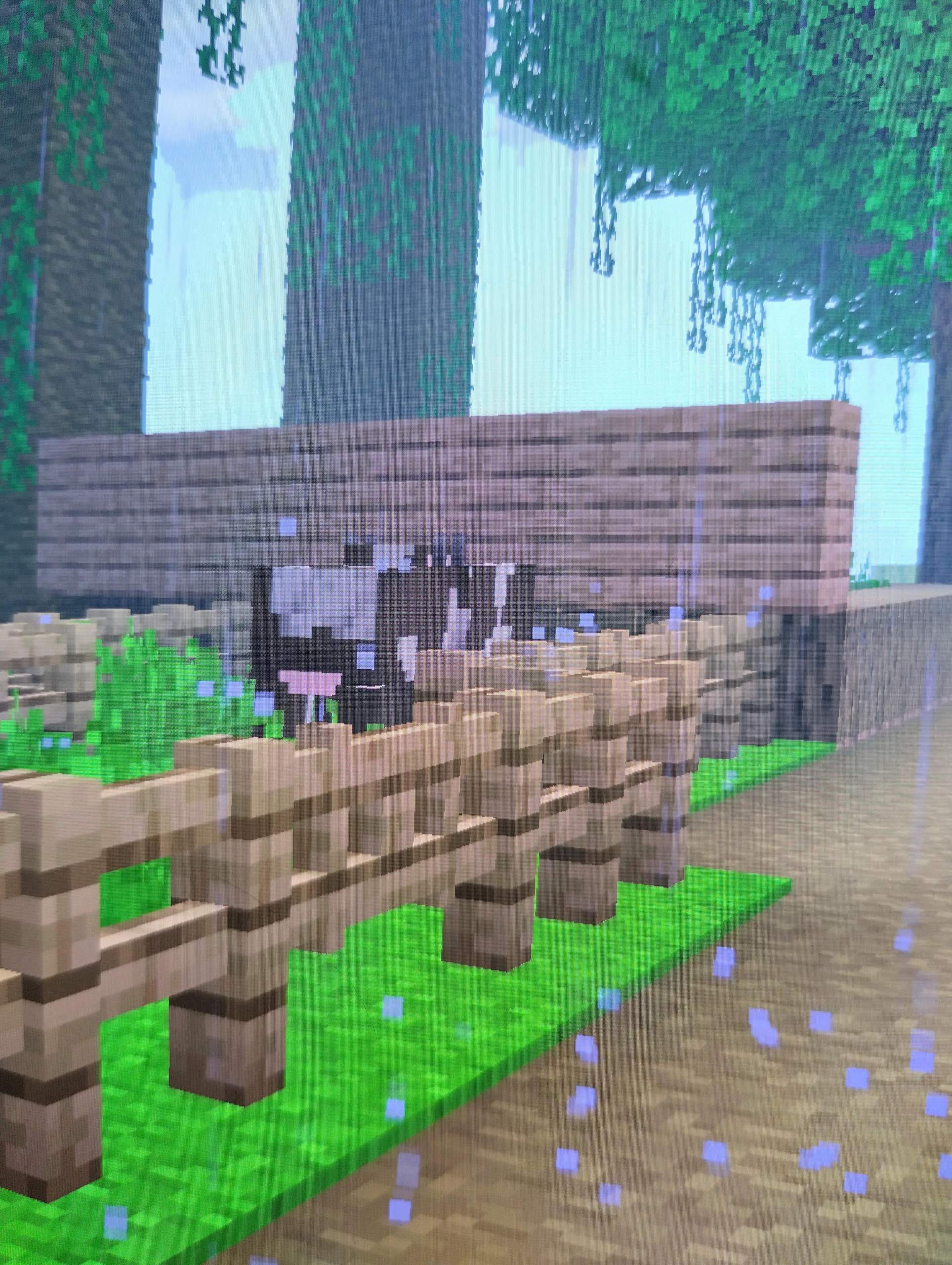 Minecraft warm Biom Kühe? (Minecraft Java Edition, Mojang, Minecraft ...