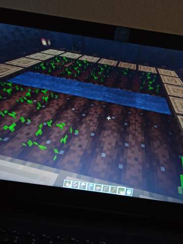 Minecraft: Wie kann ich die Samen nicht einpflanzen?