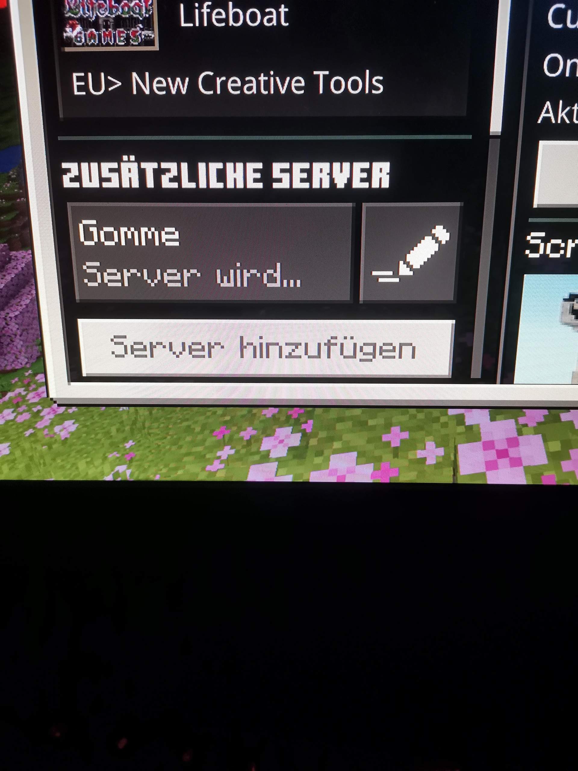 Minrcraft bedrock kann keinen server hinzufügen? (PC, Minecraft ...
