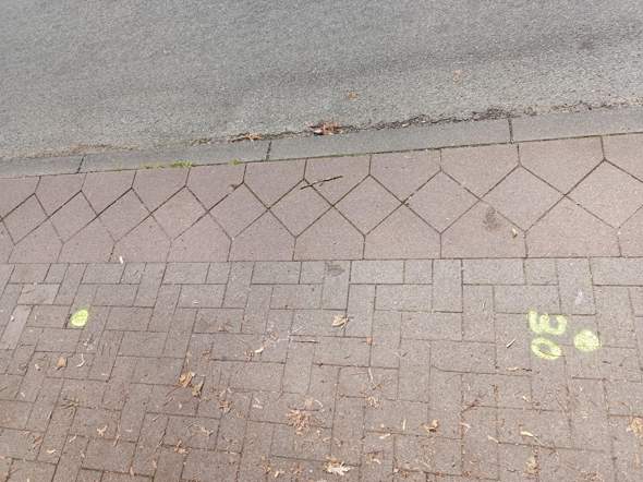 Bild zum Beitrag