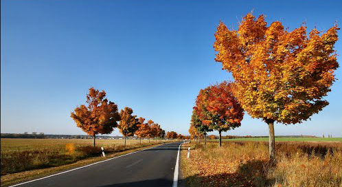 Hier ein Bild der Landstraße - (Führerschein, Punkte, Verkehrsrecht)