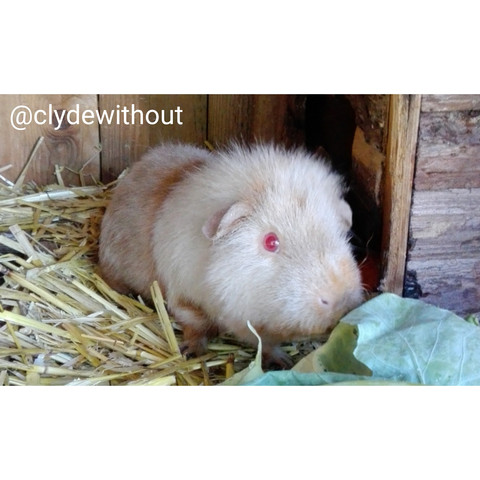 Mit Welcher App Kann Ich So Einen Weissen Hintergrund Machen