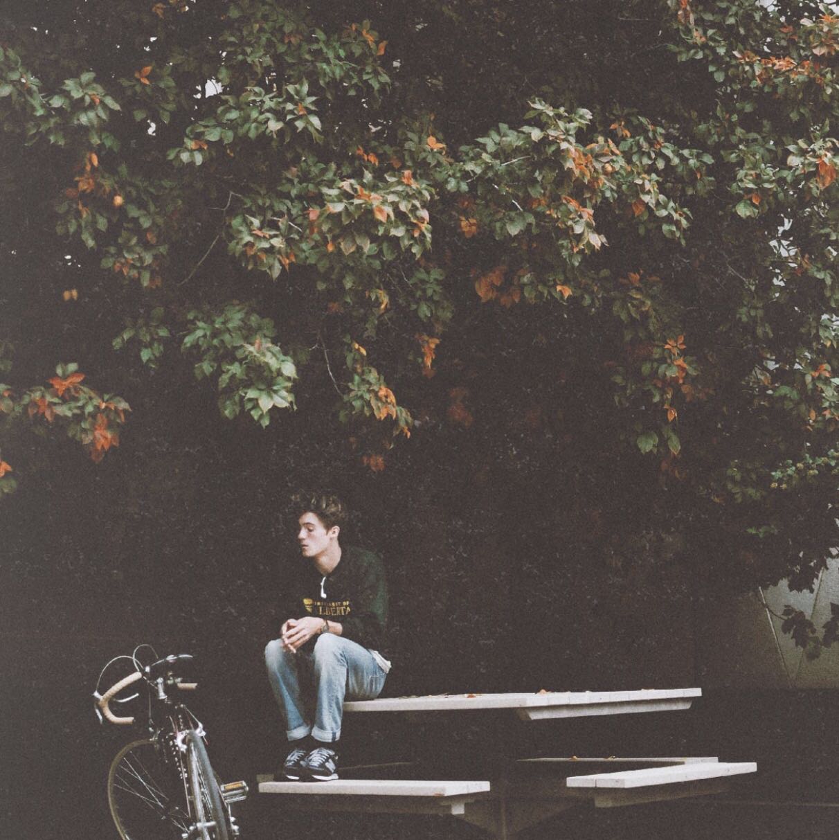 Wie Poste Ich Bilder Auf Instagram