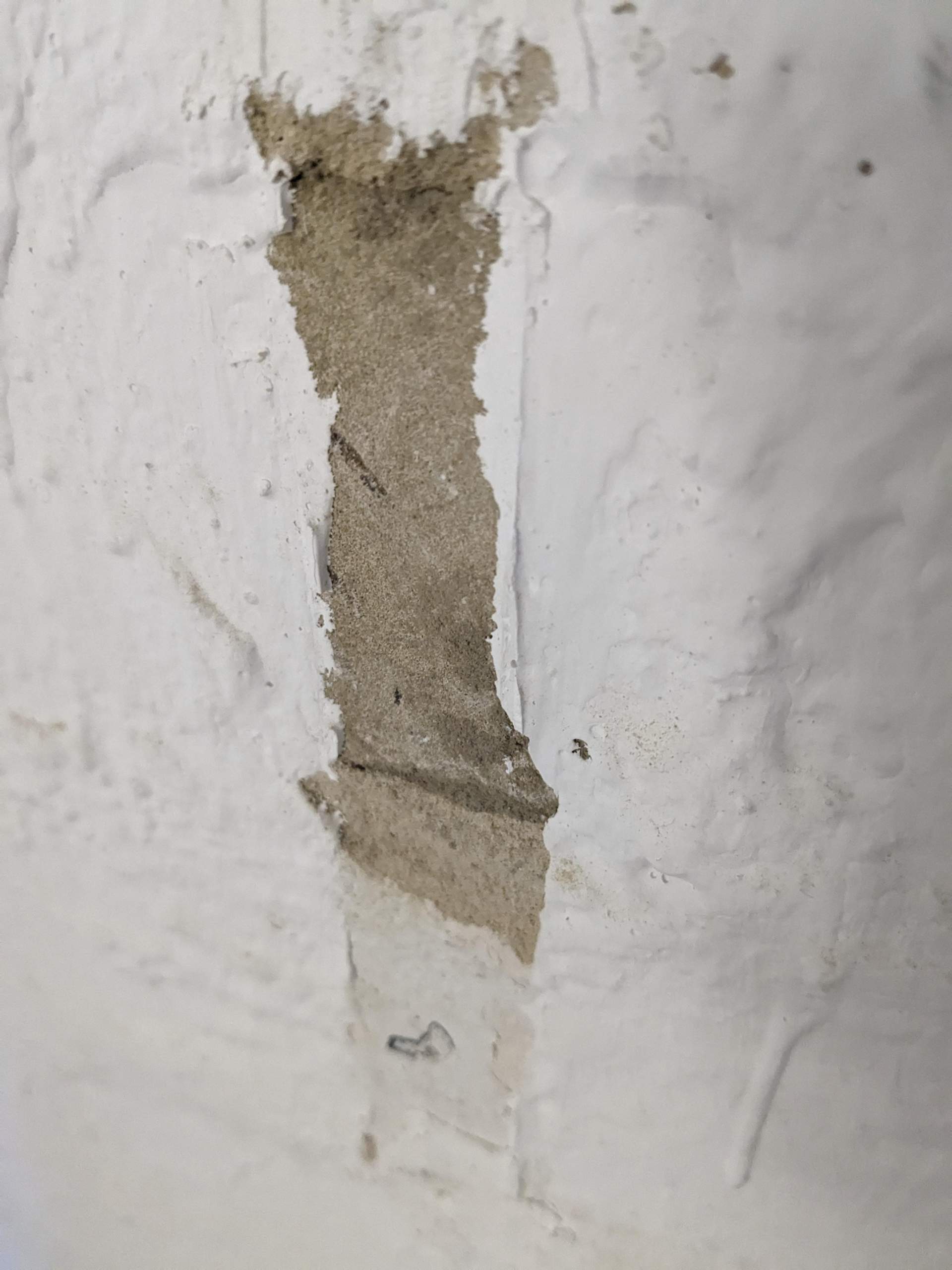 Mit welcher Farbe Keller streichen? (Wand, Wandfarbe)